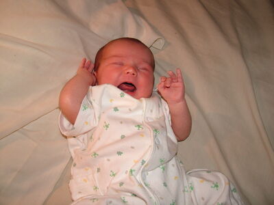 DSCF1553.JPG