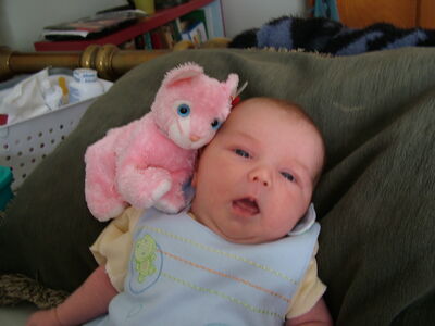 DSCF1567.JPG