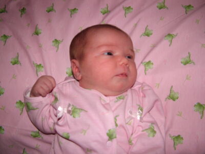 DSCF1620.JPG