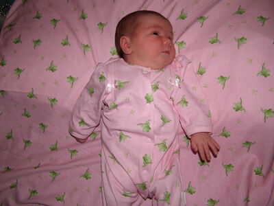 DSCF1621.JPG