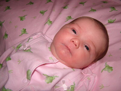 DSCF1623.JPG