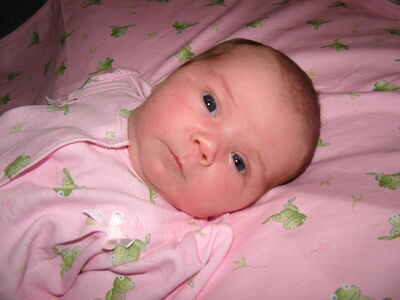 DSCF1626.JPG