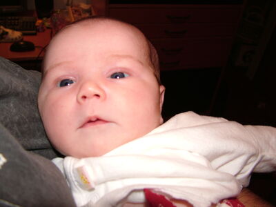 DSCF1651.JPG