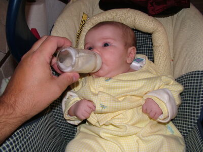 DSCF1900.JPG