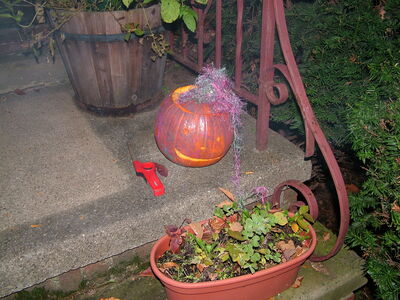 DSCF1929.JPG