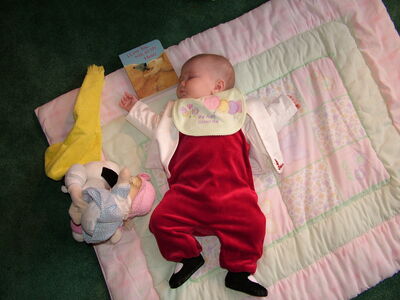 DSCF2195.JPG