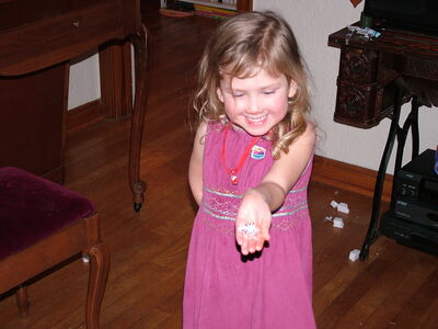 DSCF2270.JPG