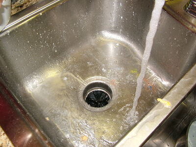 DSCF2279.JPG
