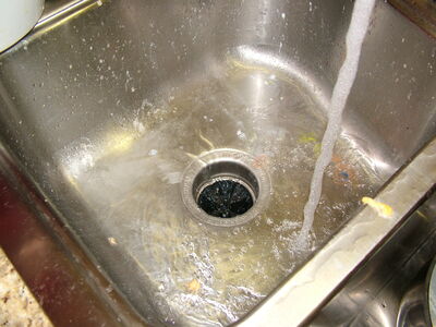 DSCF2281.JPG