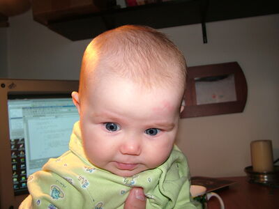 DSCF2327.JPG