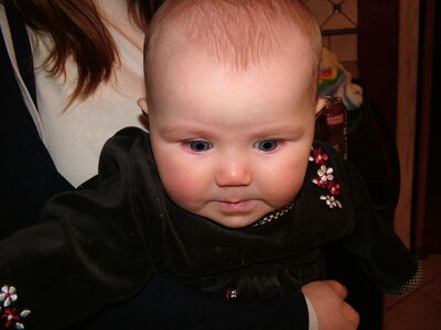 DSCF2354.JPG