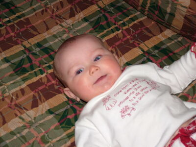 DSCF2379.JPG