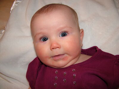 DSCF2481.JPG