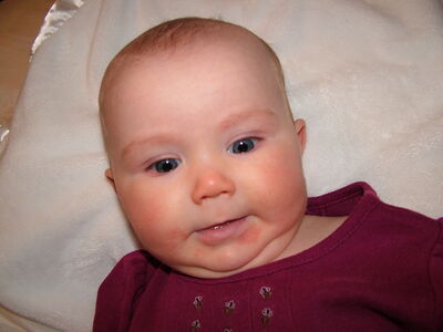 DSCF2483.JPG