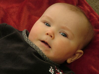 DSCF2493.JPG