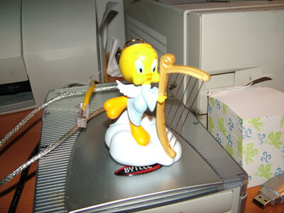 DSCF2521.JPG