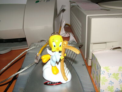 DSCF2522.JPG