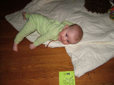 DSCF2526.JPG