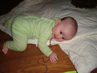 DSCF2528.JPG