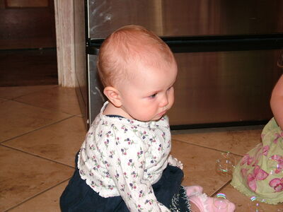 DSCF2682.JPG