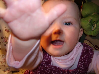 DSCF2797.JPG