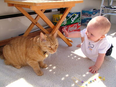 DSCF2829.JPG