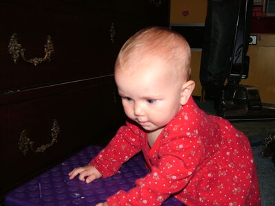 DSCF2937.JPG