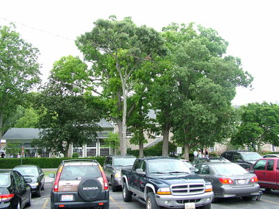 DSCF3066.JPG