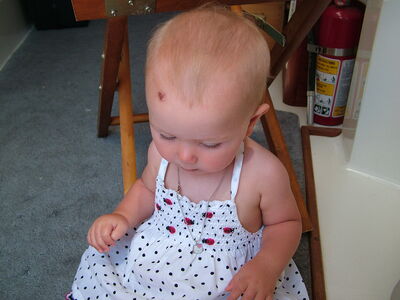 DSCF3097.JPG