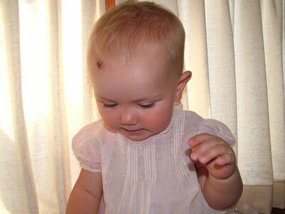 DSCF3115.JPG