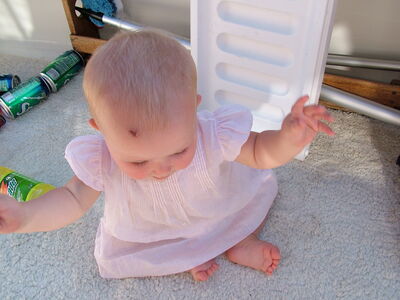 DSCF3128.JPG