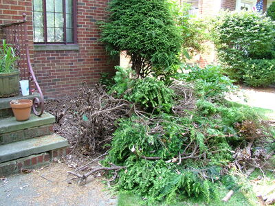 DSCF3133.JPG