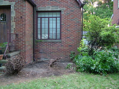 DSCF3136.JPG