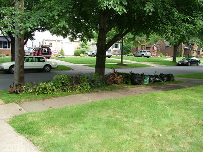 DSCF3159.JPG