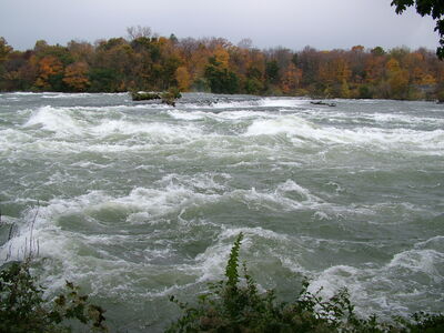 DSCF3829.JPG