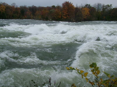 DSCF3831.JPG