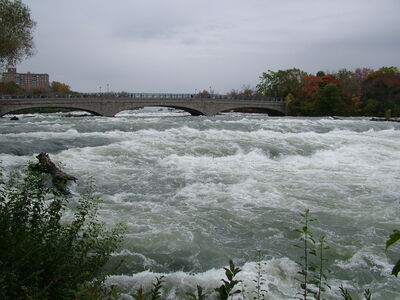 DSCF3833.JPG