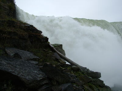 DSCF3867.JPG