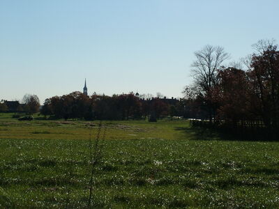 DSCF3880 - Near McPhersons Barn looking SE at the Seminary Tower - Reynolds killed near trees.JPG