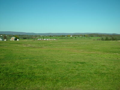 DSCF3882.JPG