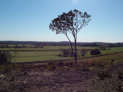 DSCF3883 - Oak Hill looking E.JPG
