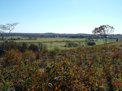 DSCF3891- Oak Hill looking E.JPG