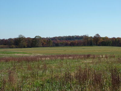 DSCF3894 - Emmitsburg Rd near McLaws Position looking SE at Little Round Top.JPG