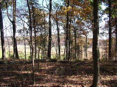 DSCF3895 - Emmitsburg Rd looking at little round top.JPG