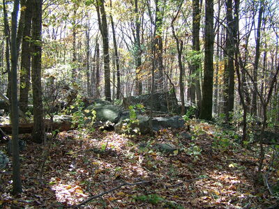 DSCF3896 - Near Devils Den looking S.JPG