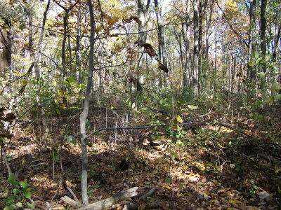 DSCF3897 - Near Devils Den looking W.JPG