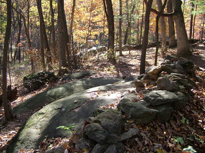 DSCF3906.JPG