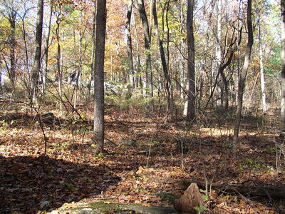 DSCF3907.JPG
