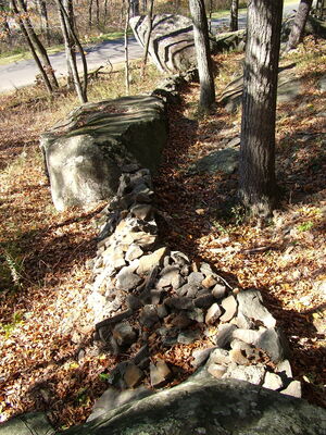 DSCF3909.JPG