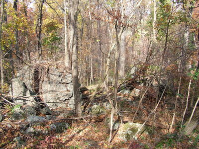 DSCF3921.JPG